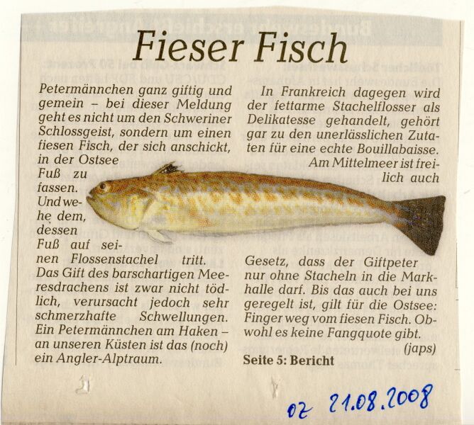 Datei:2008 Petermännchen giftig.jpg