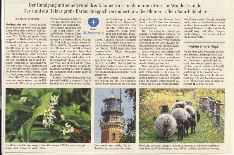 Datei:2011 Bärlauch 2.jpg