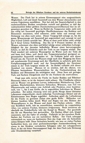 Datei:Ribnitz Kühl 046.jpg