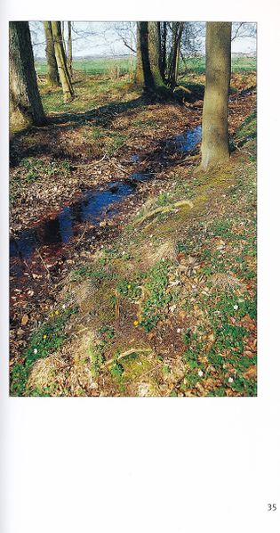 Datei:Rostocker Heide Meckl Landsch 35.jpg