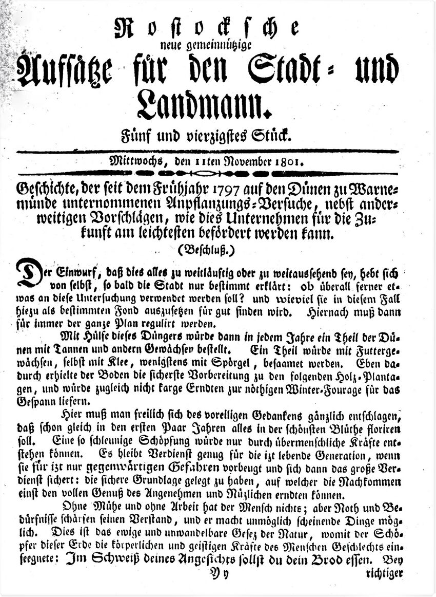 1801 Karsten Wmde Düne 177