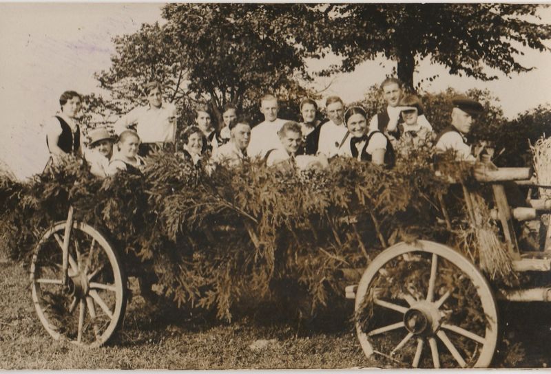 Datei:Goldenbow Festwagen 02.jpg