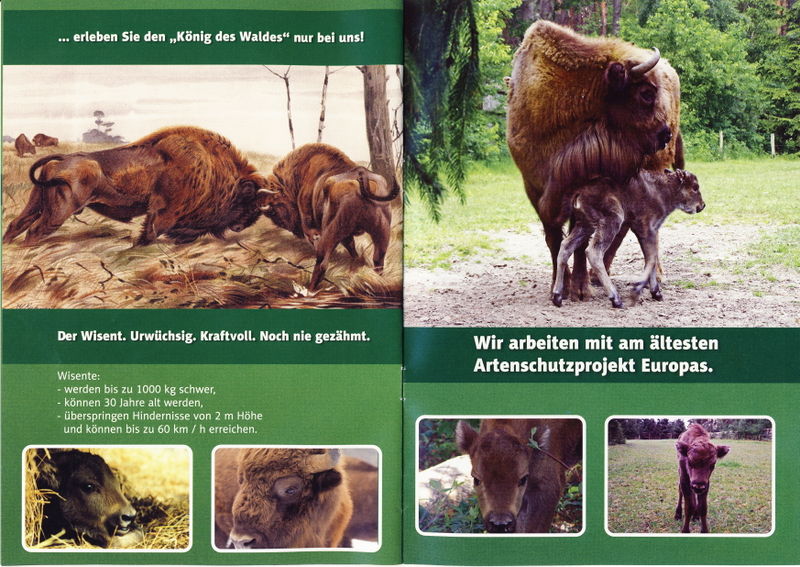 Datei:Heft 2.jpg