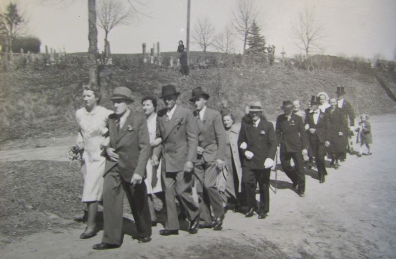 Datei:Tess3.jpg