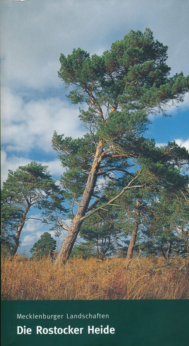 Meckl Landsch 2003 Rostocker Heide 00