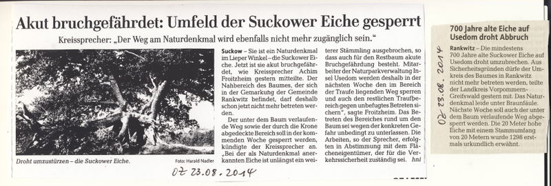 Datei:2014 Eichen Gefahr.jpg