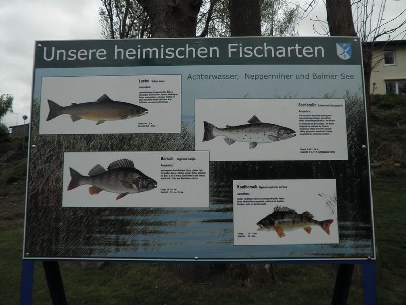 Datei:Neppermin Tafel 9.jpg