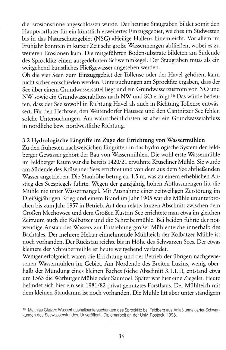 Stella Feldberg 36