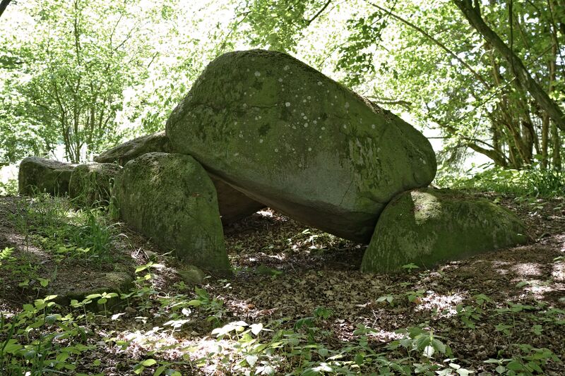 Datei:Hünengräber Liepen 7,8 6.jpg