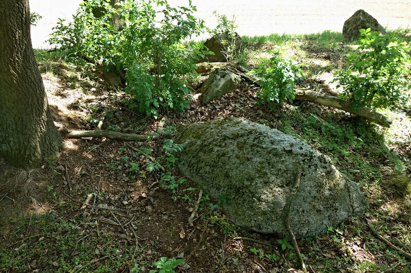 Datei:Hünengräber Radepohl 3.jpg