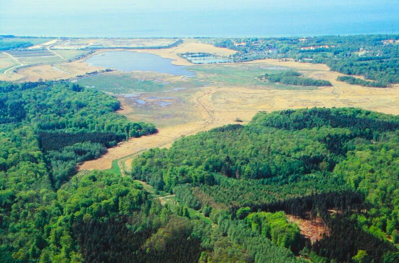Datei:Radelsee Bauernwiesen 2005 4.jpg