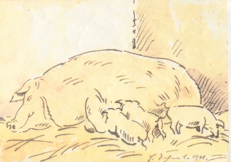 Datei:Scheele 1948 Sau mit Ferkel.jpg