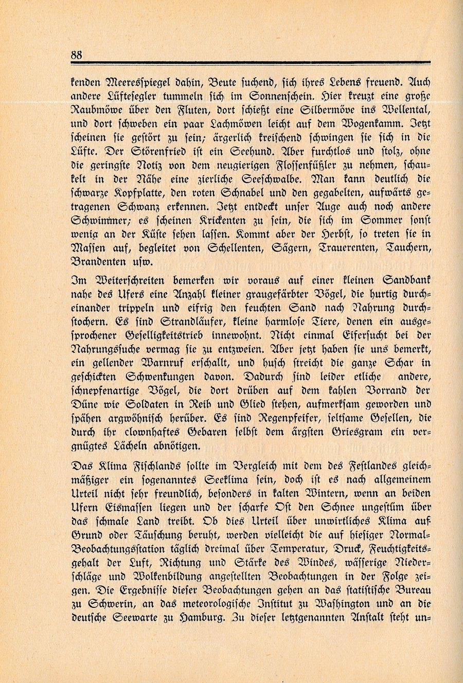 Wustrow Peters Lange 1934 088