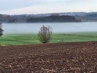 Impressionen 04