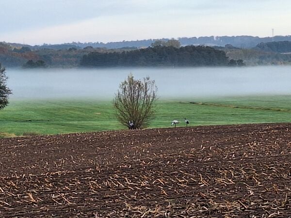 Impressionen 04