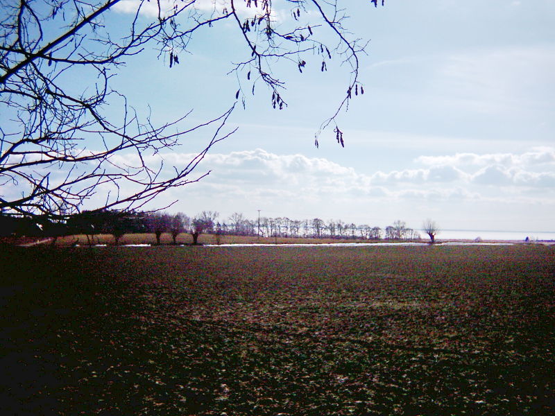 Datei:Bossin 002.jpg