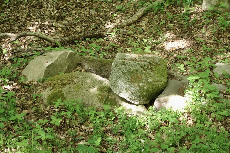 Datei:Hünengräber Viezenhof 3.jpg