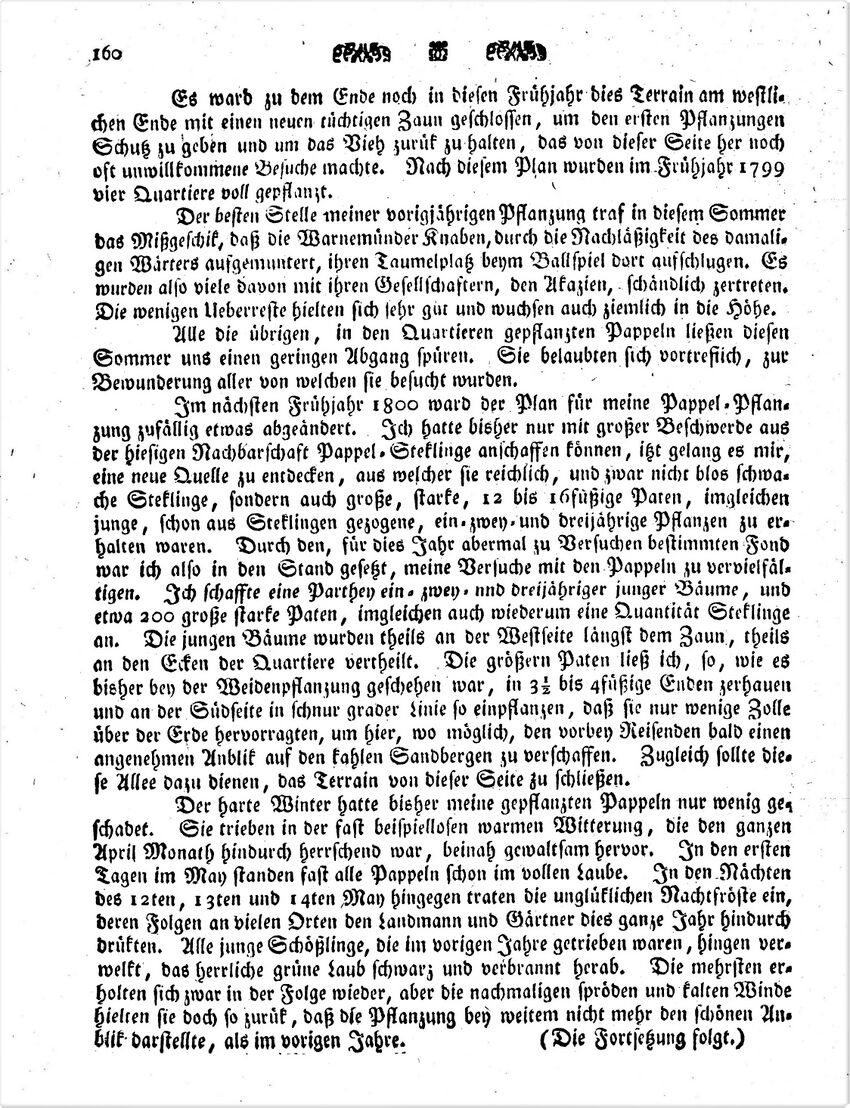 1801 Karsten Wmde Düne 161