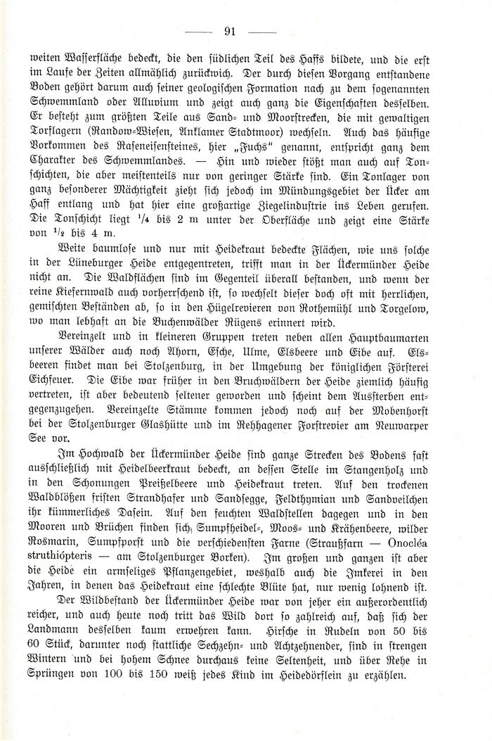 Ückermünder Heide Heinrich Kohlmann 1904 S91