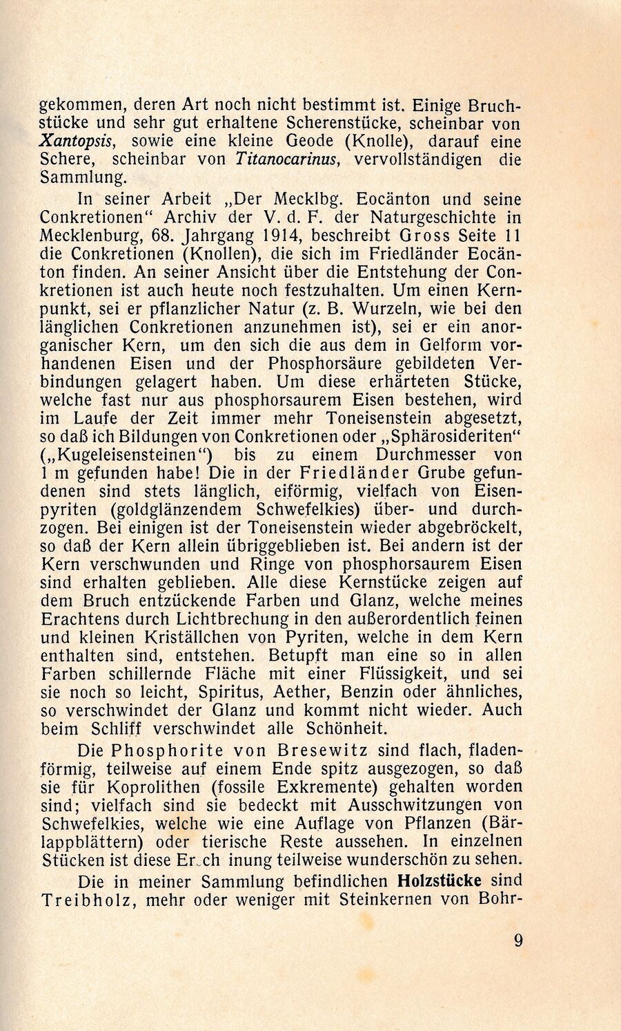 Friedland Rohn Blauton 1939 10