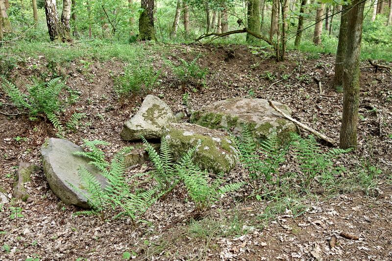 Datei:Hünengräber Ziesendorf 1.jpg