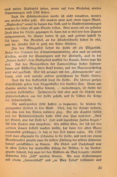 Datei:Ahrens Kleinod 23.jpg