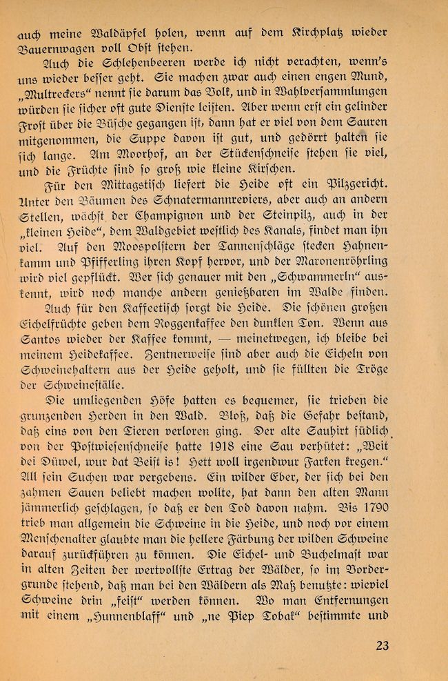 Ahrens_Kleinod_23