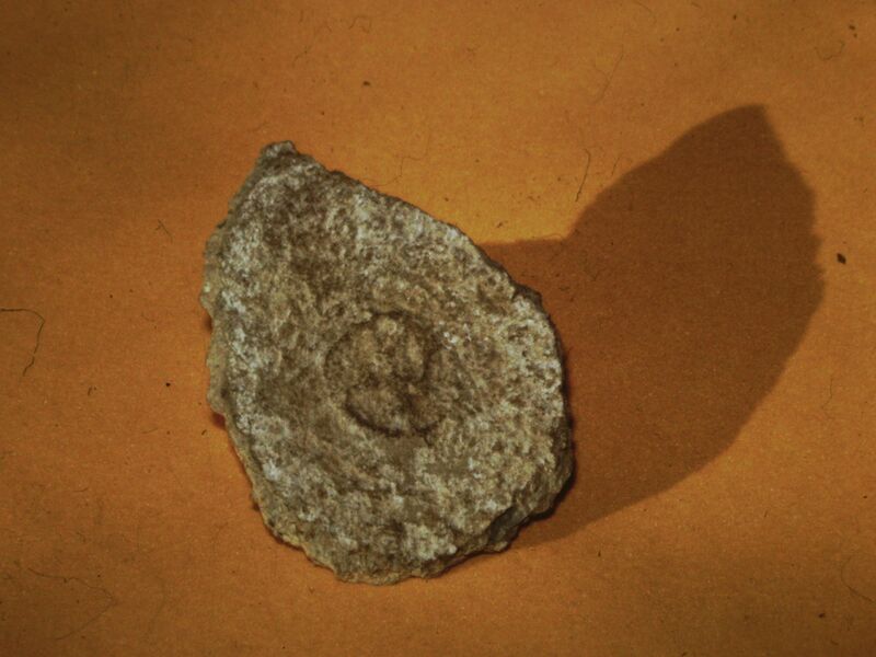Datei:MarlowGr9.jpg