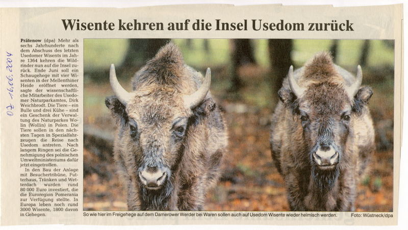 Datei:2004 Wisente 06 a.jpg