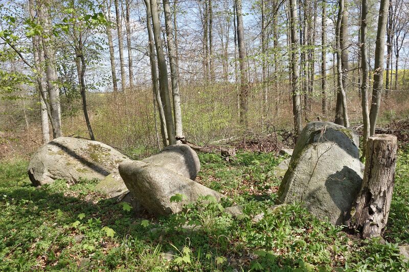 Datei:Hünengräber Vogelsang 1.jpg