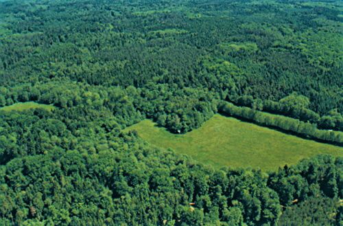 Willershäger Rev Neue Wiese am Haubach (Foto: Wilfried Steinmüller 2002)