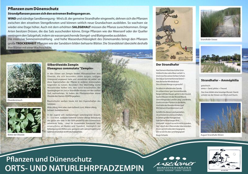 Datei:Tafel Zempin Duenen.jpg