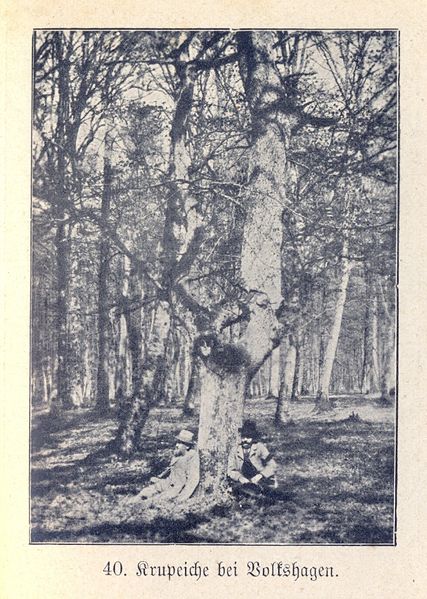 Datei:Völkshagen Krupeik.jpg
