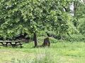 Vorschaubild der Version vom 15:21, 13. Jun. 2026