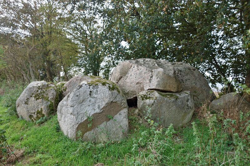 Datei:Hünengräber Silvitz 3.jpg