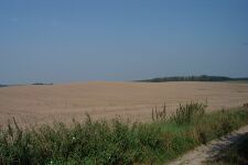 Lenzen-KA Dobbertin 897 (2002).jpg