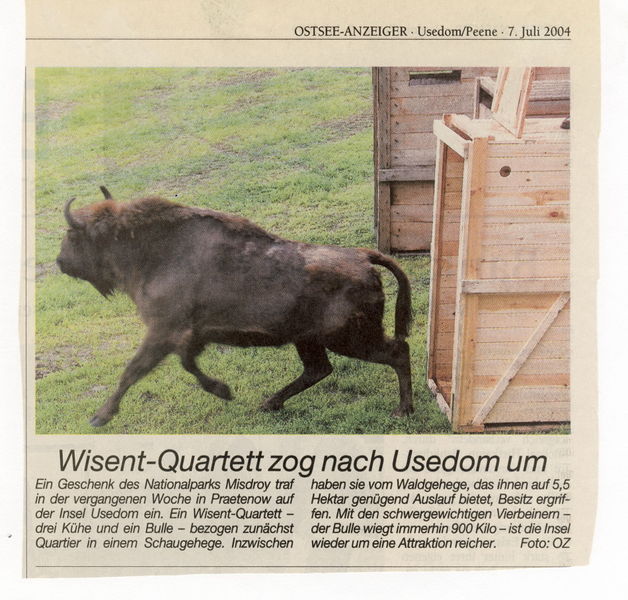 Datei:2004 Wisente 07.jpg