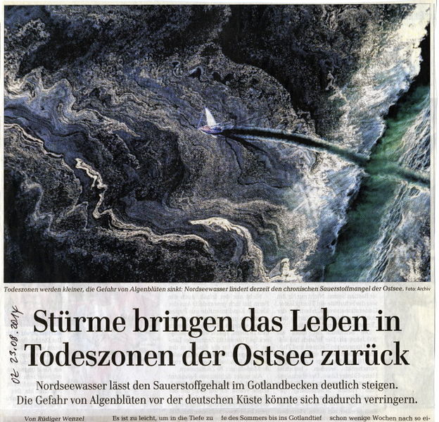 Datei:2014 Ostsee Salz a.jpg
