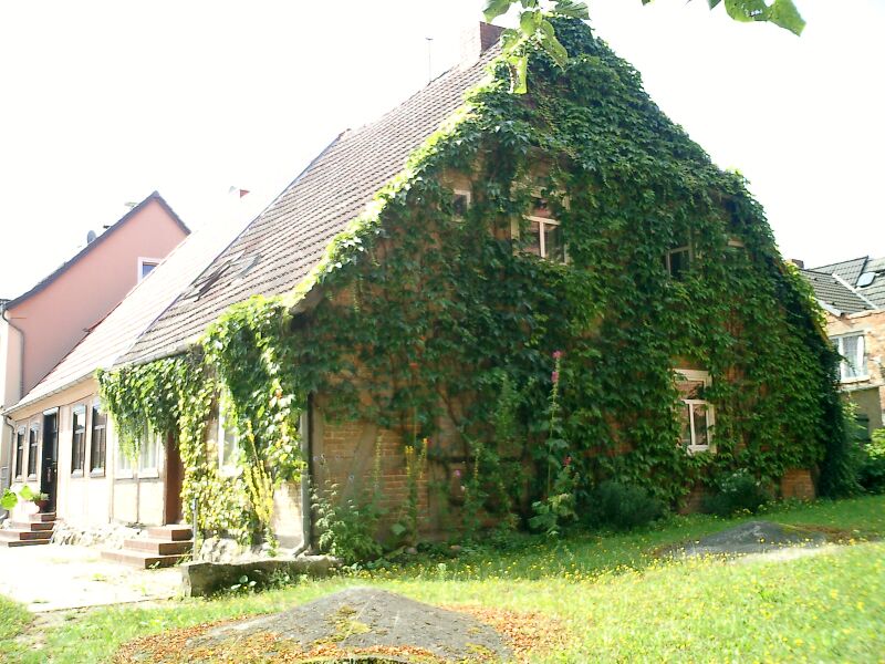 Datei:Brüel-139 (2004).jpg