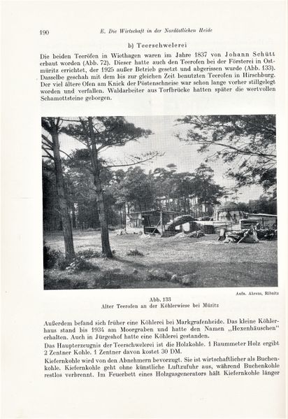 Datei:Kolp Nordöstliche Heide 0190.jpg