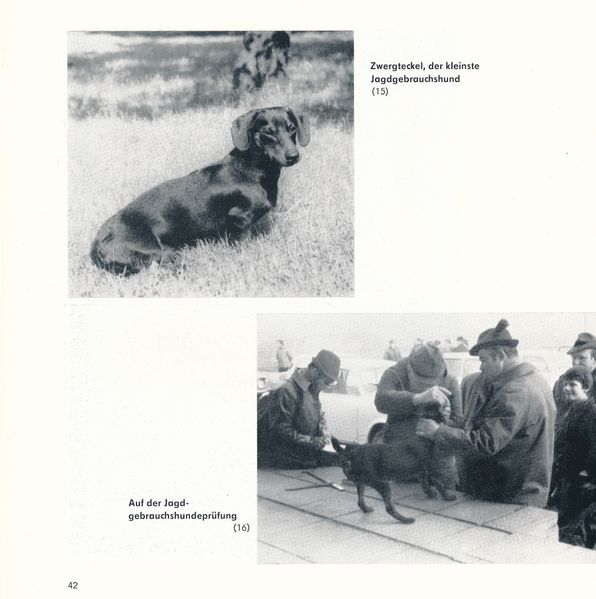 Datei:Heide Jagd 42.jpg