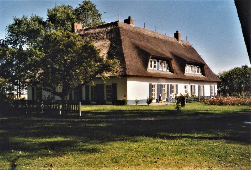 Datei:Schwarbe blau.jpg