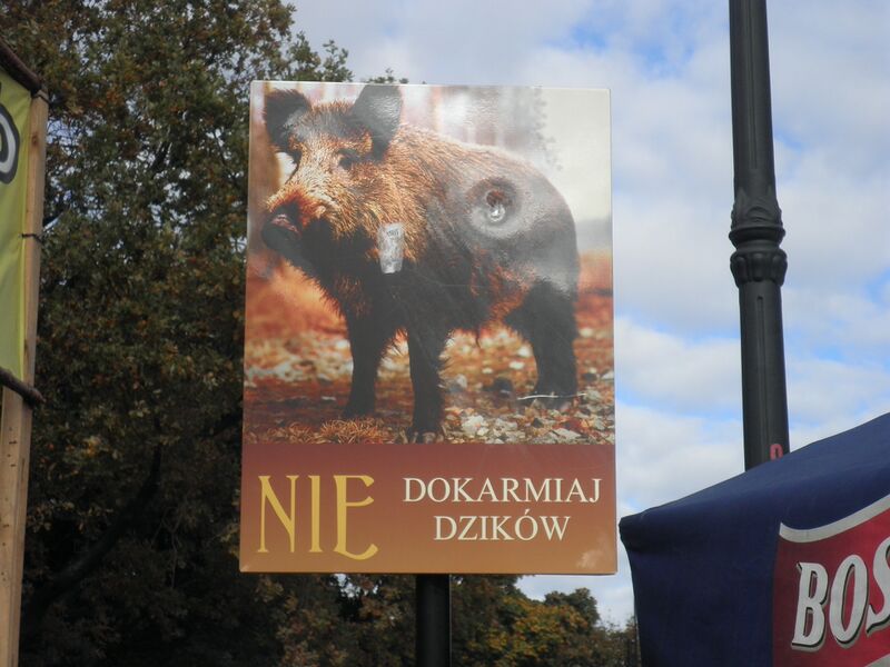 Datei:Swi 2010 Promenade 3.JPG