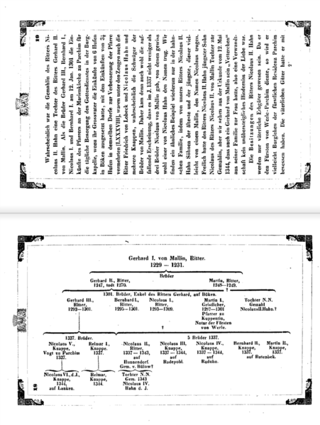Datei:Goldenbow Mallin 7.png