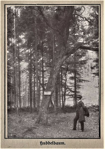 Datei:RH Huddelbaum 1919 (HA).jpg