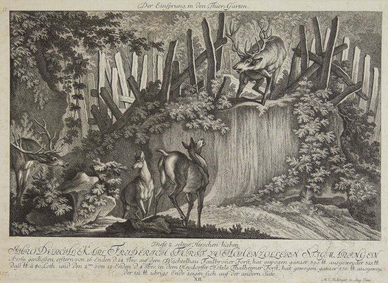 Datei:Einsprung Ridinger.jpg