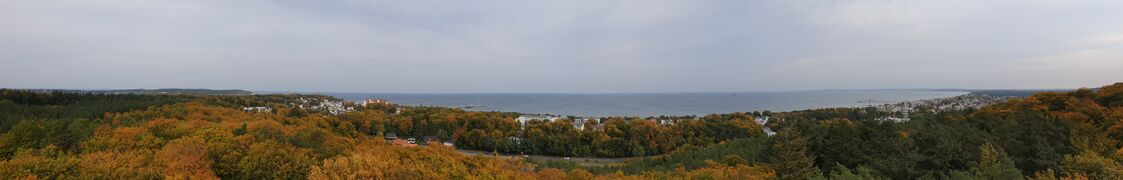 Gemeinde Heringsdorf - Blick vom Aussichtsturm des Baumwipfelpfades.jpg