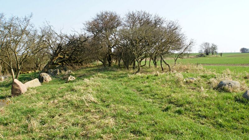 Datei:Hünengräber Mechelsdorf 1 1.jpg