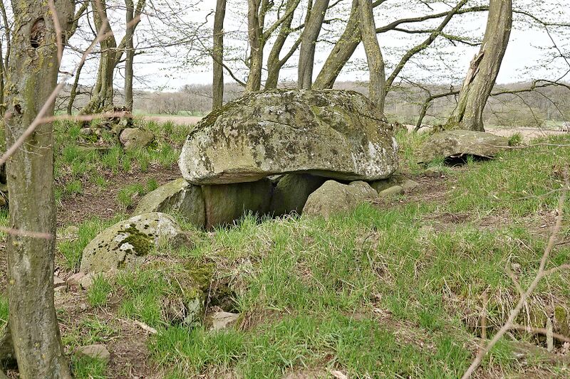 Datei:Hünengräber Pustow 5 4.jpg