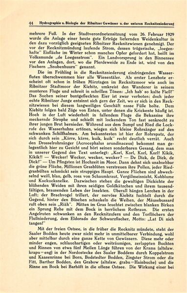 Datei:Ribnitz Kühl 044.jpg